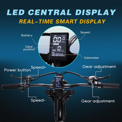 Power Electric Bike for Adults